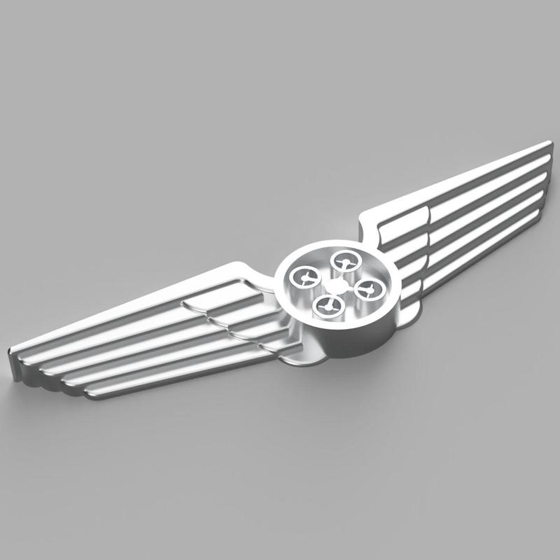 Pilot Wings for drone / quadcopter pilots