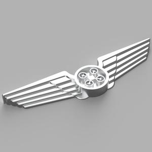 Pilot Wings for drone / quadcopter pilots