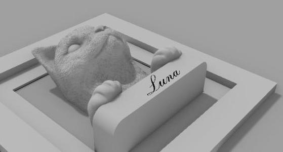 3d cat box