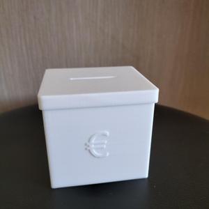 Euro or Dollar Piggy Bank