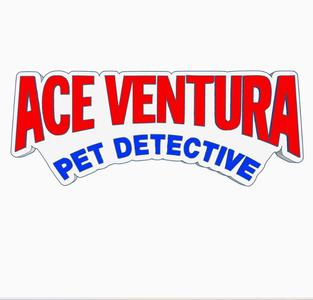ACE VENTURA - PET DETECTIVE Logo Display by MANIACMANCAVE3D