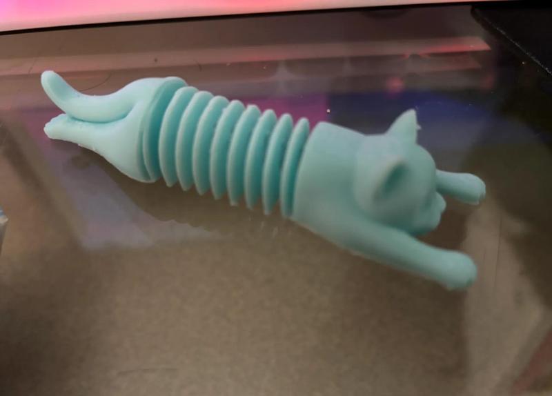 Spring Cat (30 Minutes Version)