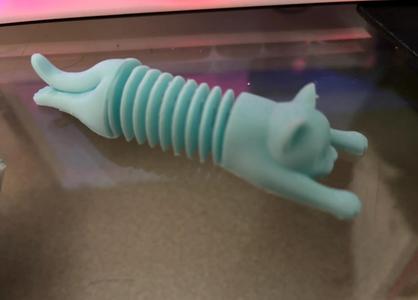 Spring Cat (30 Minutes Version)