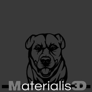 Labrador Retriever picture frame