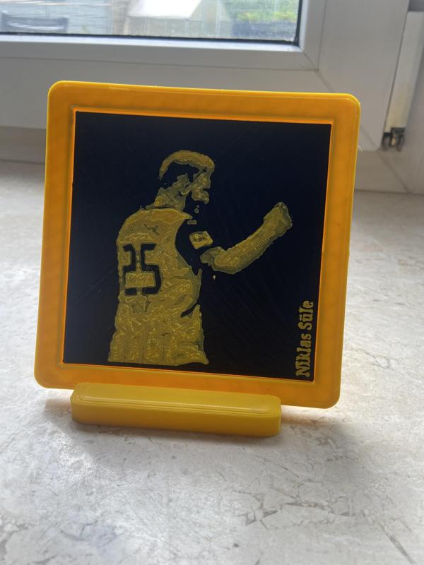 Niklas Süle picture