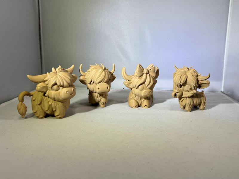 Cute Personality Calves