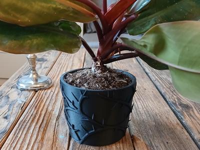 Thorn Flowerpot