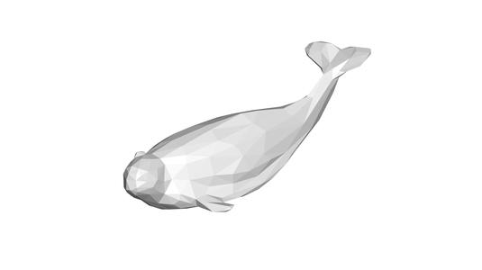 beluga low-poly