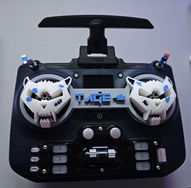 Jumper T20S Gimbal Protector