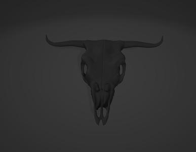 Longhorn Skull