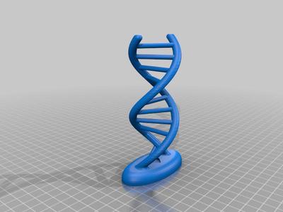 Right-handed double strand DNA (dsDNA dextrogir)