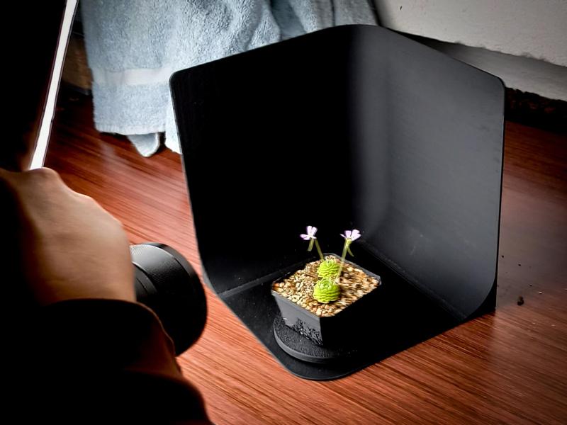 Photo Studio Box / with extra high back wall