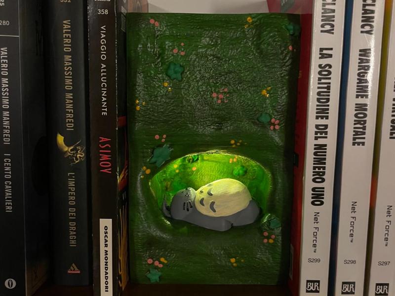 Sleeping Totoro Booknook