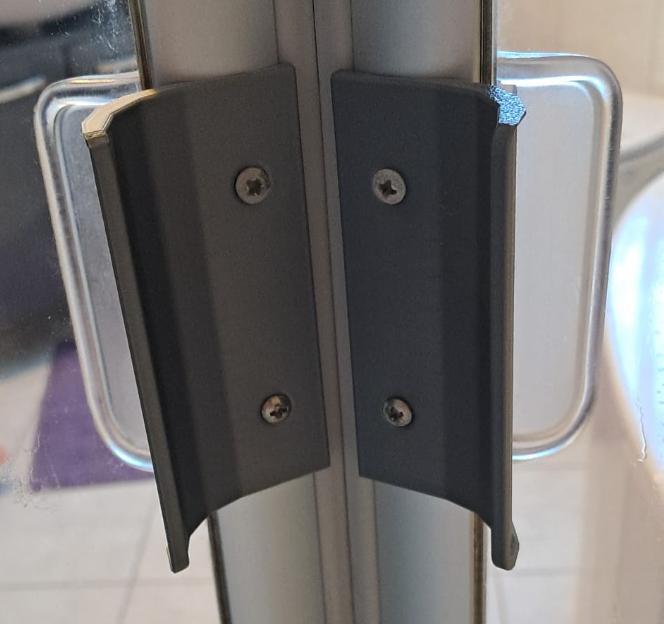 Shower handle for frameless shower door