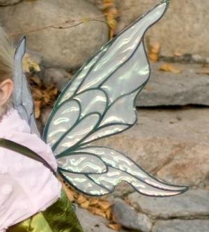 Costume wings