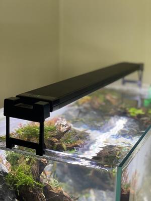 fluval plant 3.0 light 45mm riser 6mm glass