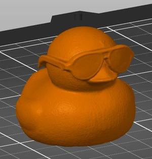 Duck with glasses