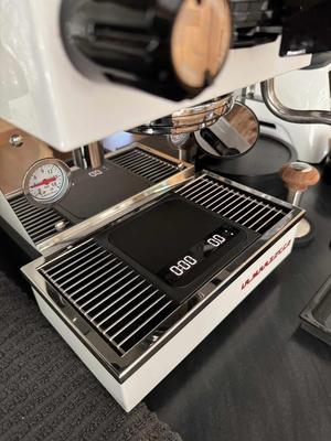 Linea Micra Lunar Scale Insert