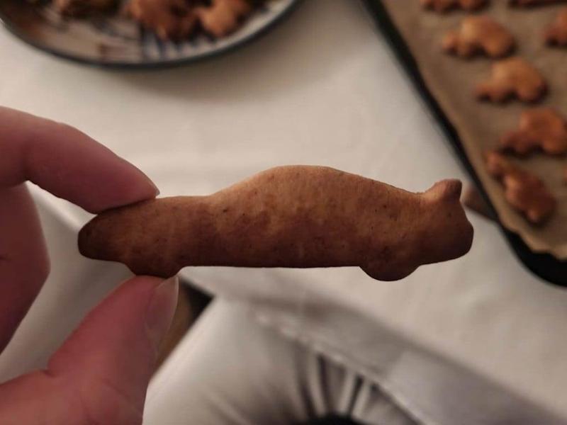 Toyota Supra MK4 cookie cutter