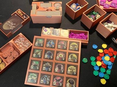 Darwin's Journey Base Board Game Insert
