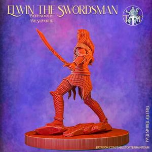 Elwin the Swordsman