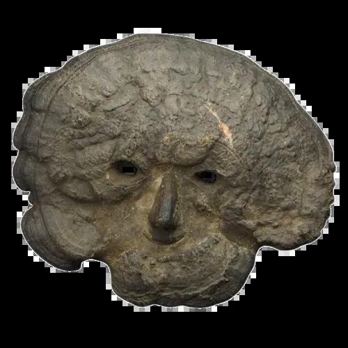 Ceremonial Fungal Mask   