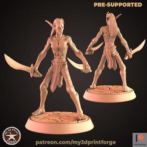 Nightfallen Elf Female with daggers