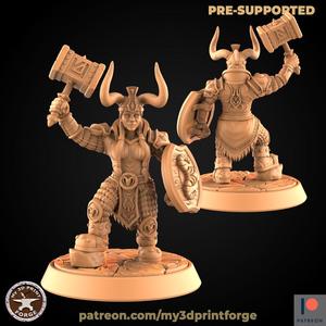 Dwarf Female Paladin with Shield