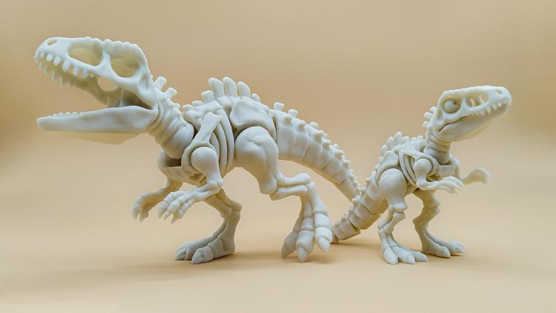 Giganotosaurus Skeleton Articulated/Flexi