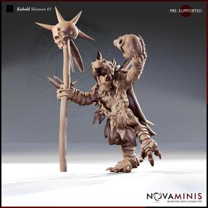 Kobold Shaman 01