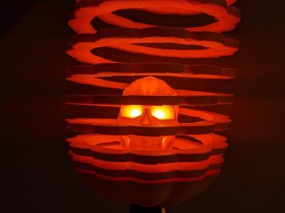 Springo Pumpkin Skull
