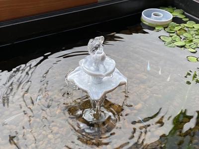 Fountain