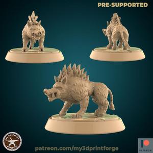 Two Boars