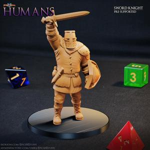 Human Sword Knight 1E Miniature - Pre-Supported