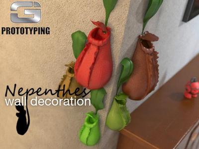 wall decoration-nepenthes