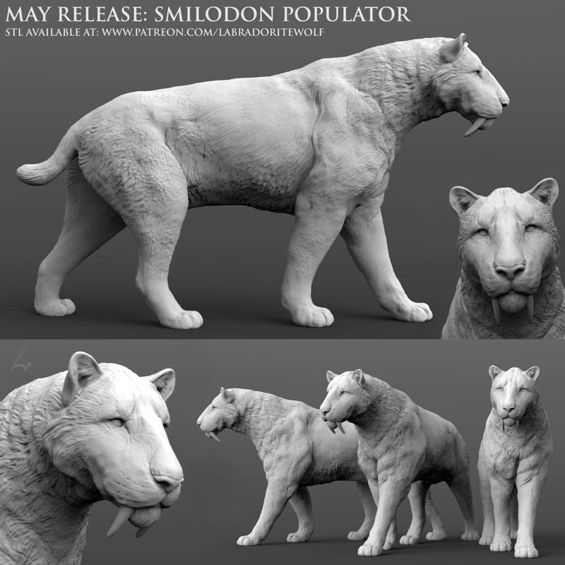 Smilodon populator, Saber-Toothed Tiger (walking)