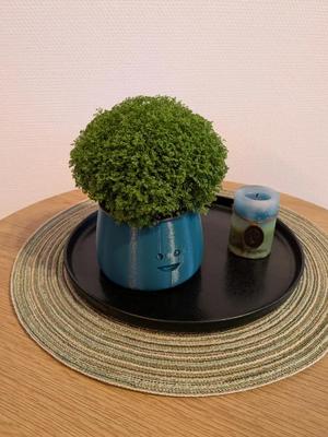 Flower pot with face   