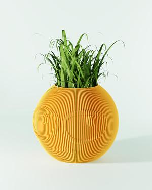 Smile Vase