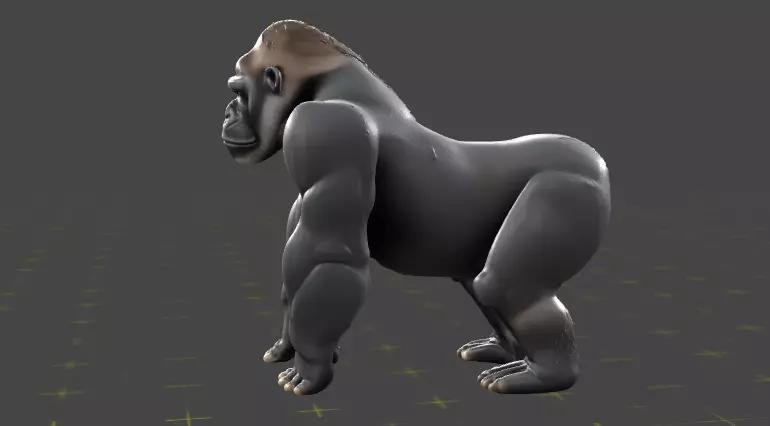Silver back Gorilla z10