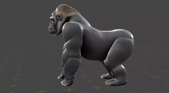 Silver back Gorilla z10