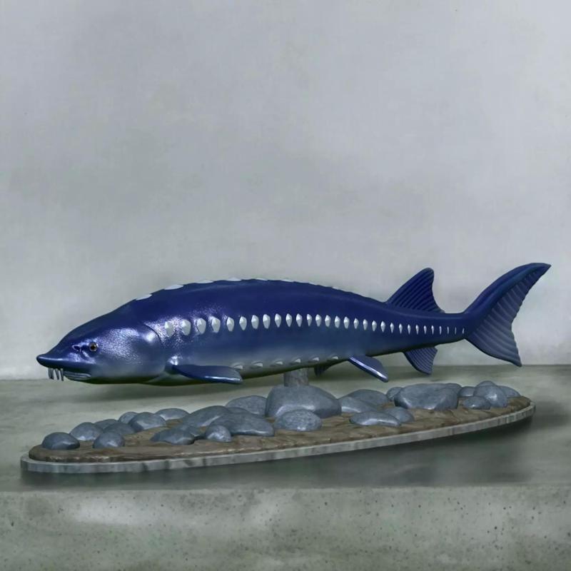 sturgeon vyza fish underwater statue detailed texture