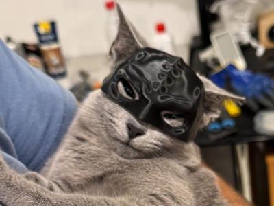 Demon Cat mask