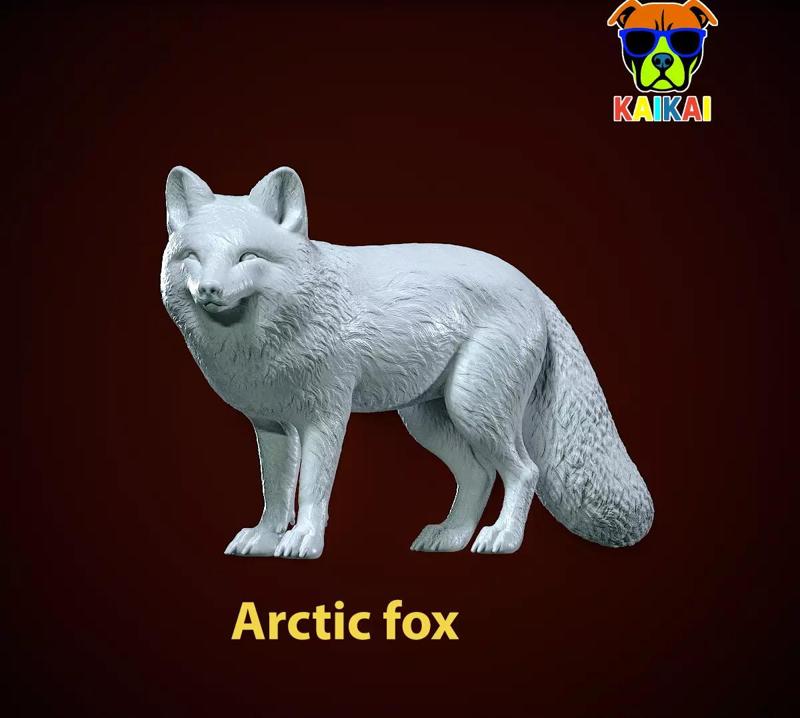 Arctic Fox model urban vibes