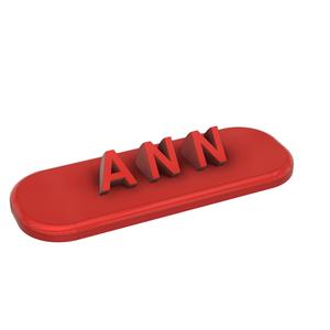 Ann-Name tag