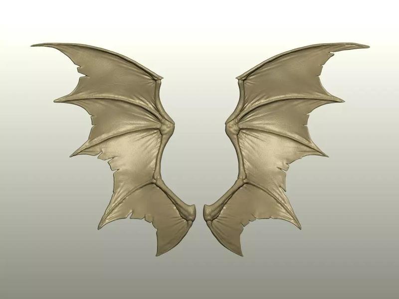 Fantasy Creature Wing 06