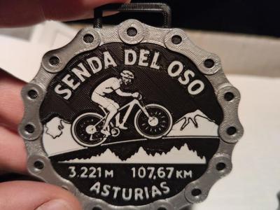 Senda del Oso medal