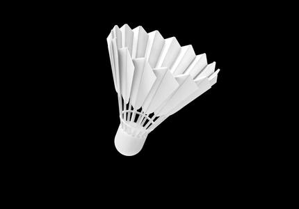 Badminton shuttlecock