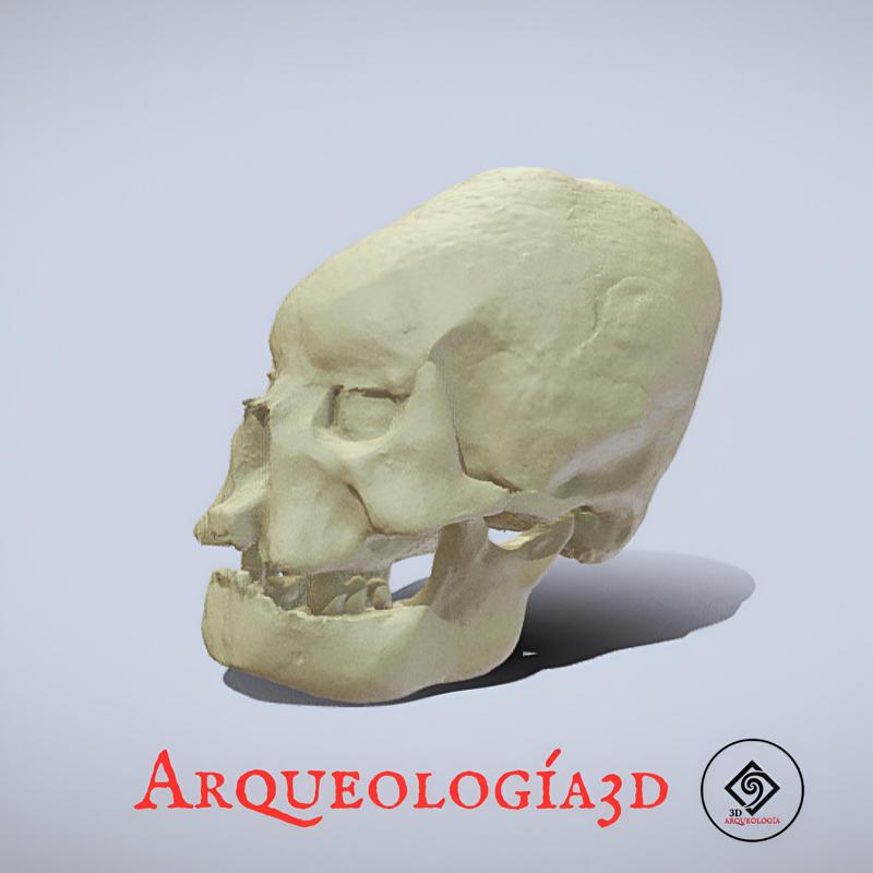 Cráneo Elongado – Antropología Prehispánica del Perú (Modelo 3D)