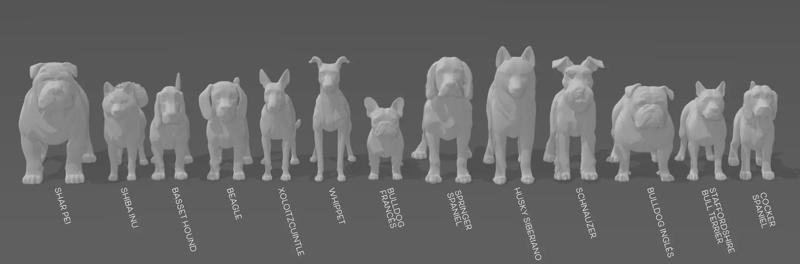 Miniatures - Medium Dogs