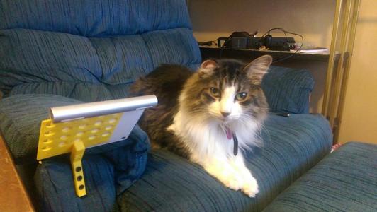 Recliner Magic TrackPad mouse Stand